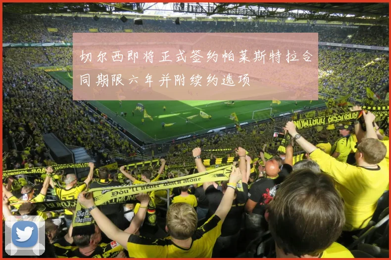 切尔西即将正式签约帕莱斯特拉合同期限六年并附续约选项