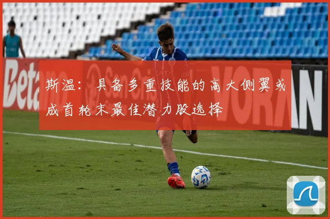 斯温：具备多重技能的高大侧翼或成首轮末最佳潜力股选择