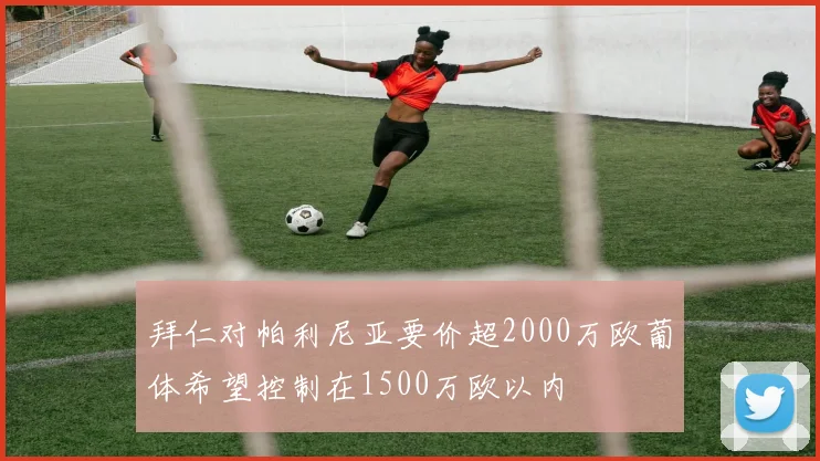 拜仁对帕利尼亚要价超2000万欧葡体希望控制在1500万欧以内